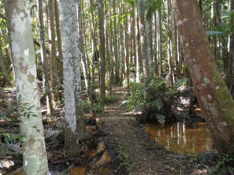 114 Diddillibah Road, Woombye QLD 4559