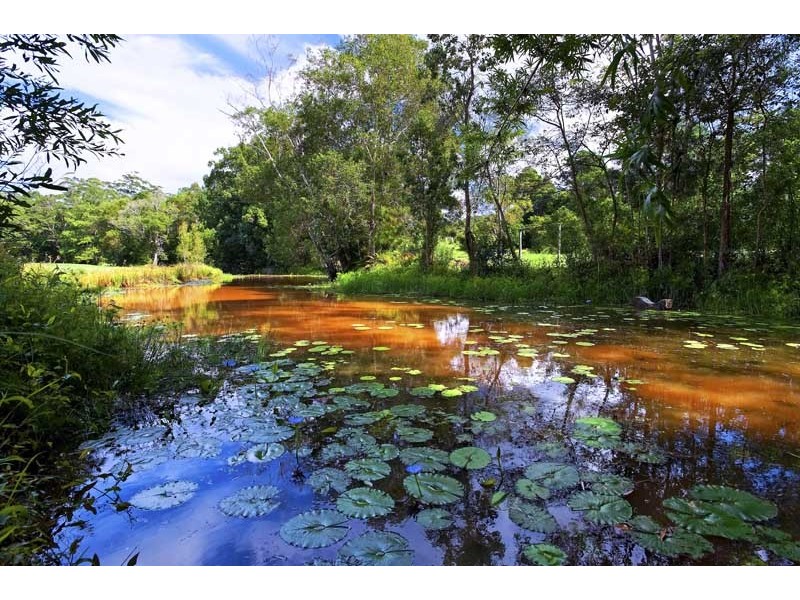 153 Old Bowling Green Road, Palmwoods QLD 4555