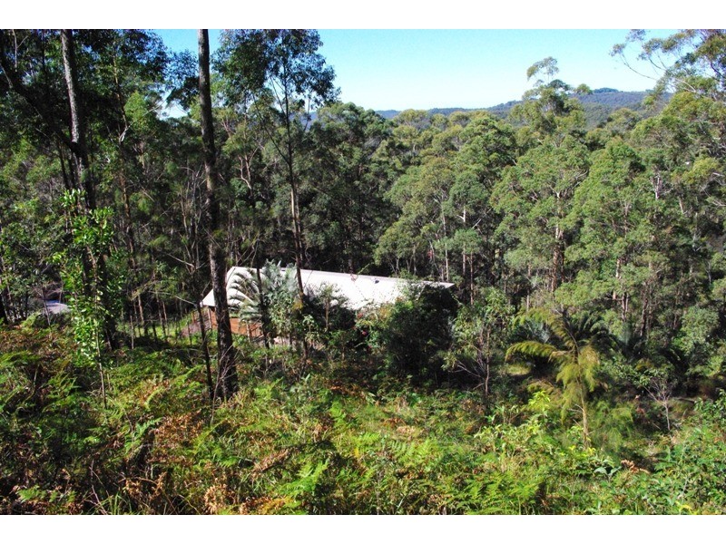 31 Kirbys Road, Palmwoods QLD 4555