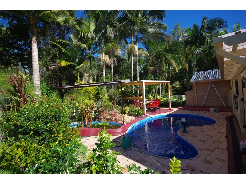 31 Taronga Street, Palmwoods QLD 4555