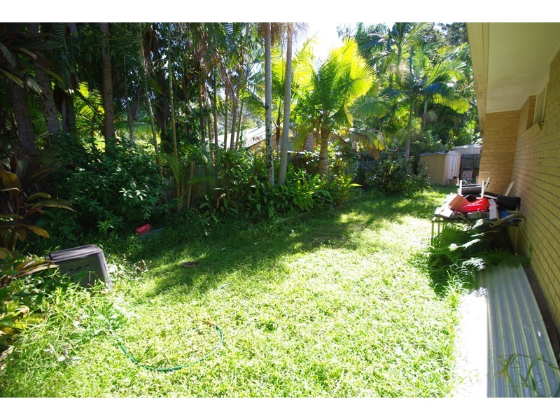 31 Taronga Street, Palmwoods QLD 4555