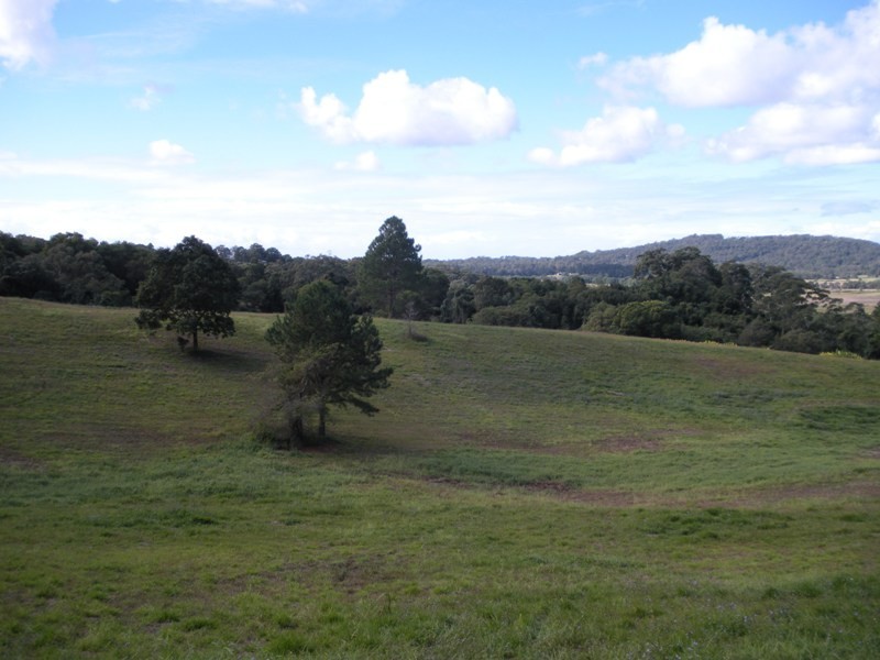 10 Buena Vista Road, Nambour QLD 4560