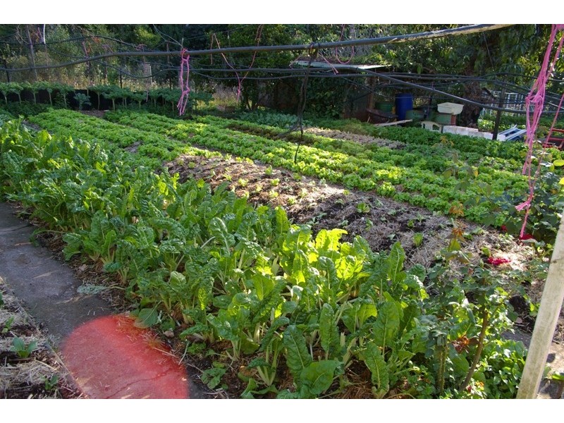 46 Chevallum Road, Palmwoods QLD 4555