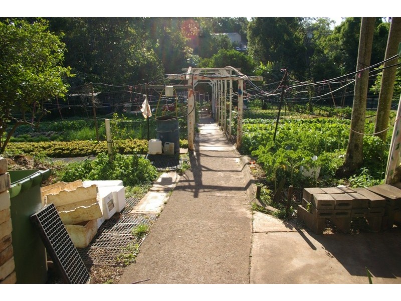 46 Chevallum Road, Palmwoods QLD 4555