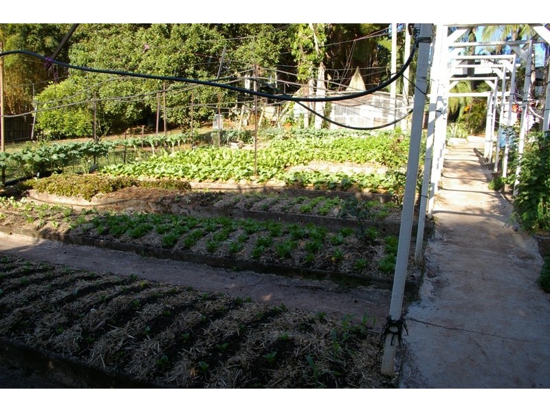 46 Chevallum Road, Palmwoods QLD 4555