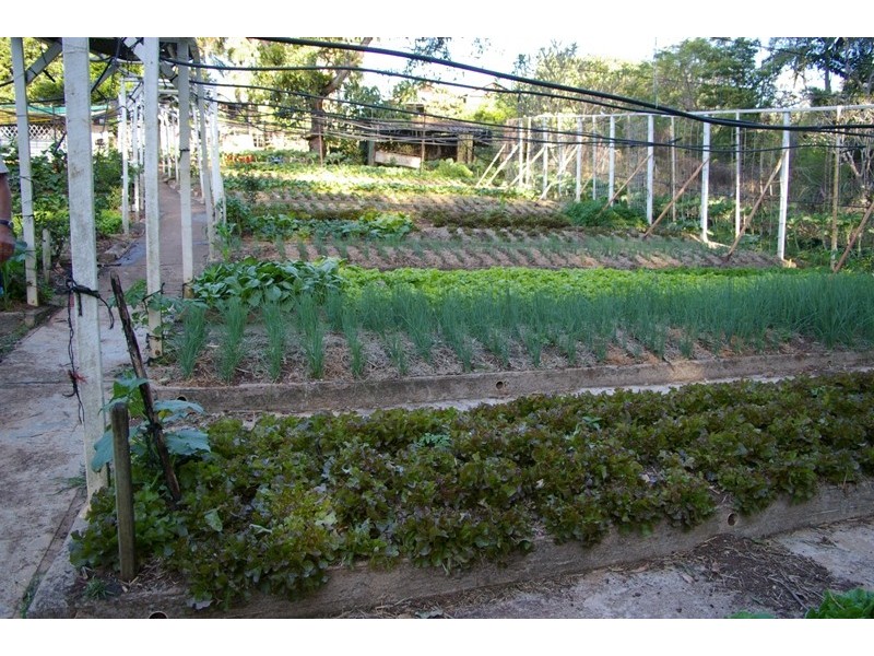 46 Chevallum Road, Palmwoods QLD 4555