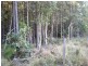 Lot 510 Mooloolah Connection Road, Mooloolah Valley QLD 4553