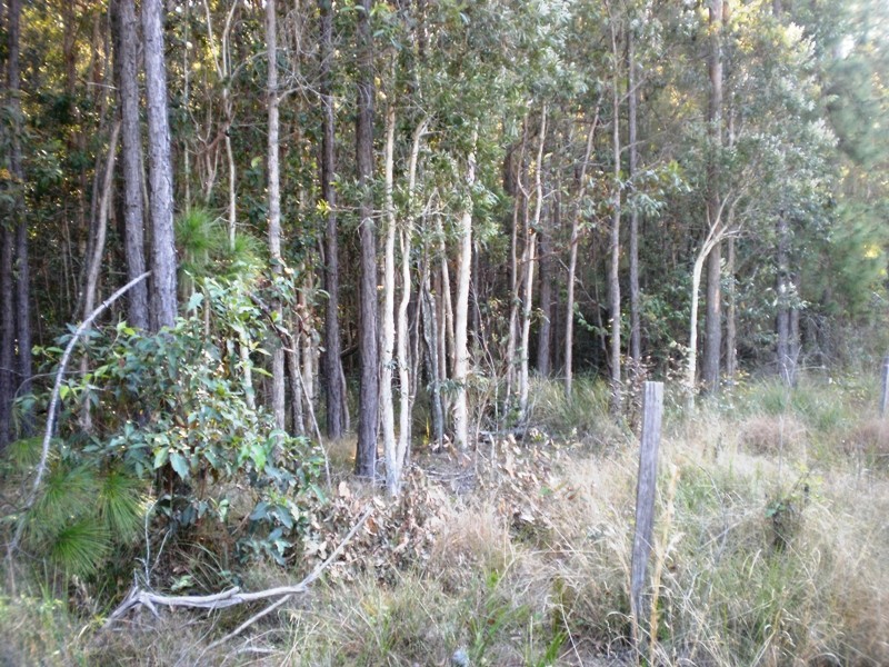 Lot 510 Mooloolah Connection Road, Mooloolah Valley QLD 4553