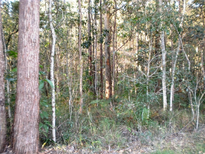 Lot 510 Mooloolah Connection Road, Mooloolah Valley QLD 4553