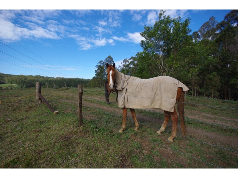 78 Slaughter Yard Road, Ilkley QLD 4554