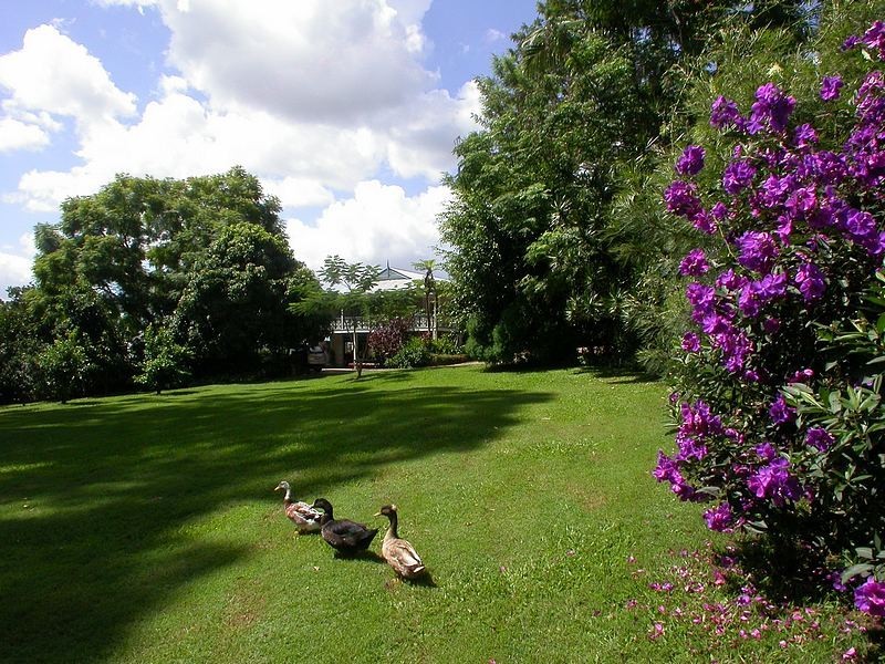 150 Palmwoods Montville Road, Palmwoods QLD 4555