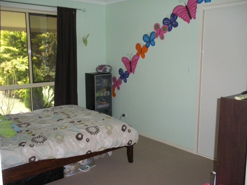 4 Flame Tree Court, Palmwoods QLD 4555