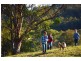 119 Shurvell Road, Palmwoods QLD 4555