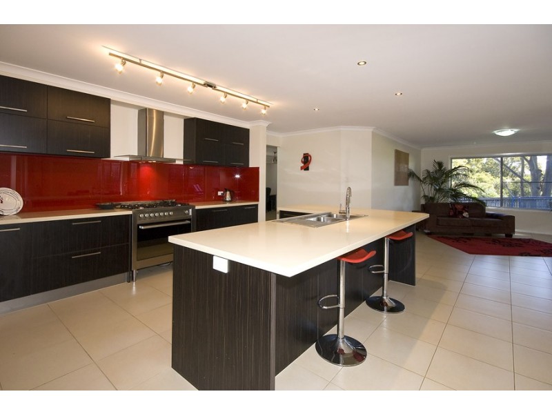 35 Paynters Pocket Avenue, Palmwoods QLD 4555