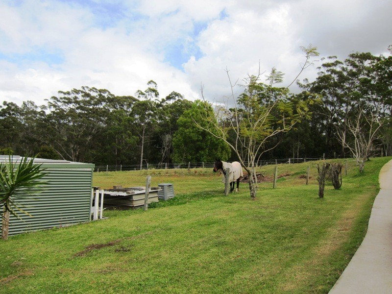 109 Sunridge Road, Palmwoods QLD 4555