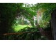1 Inglewood Court, Palmwoods QLD 4555
