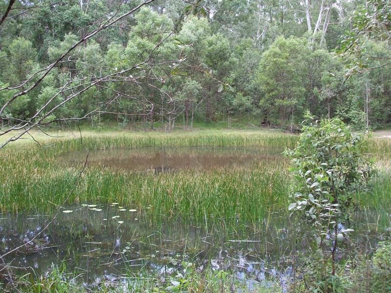 92-110 Oakey Creek Road, Gheerulla QLD 4574