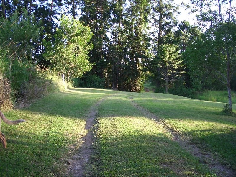 92-110 Oakey Creek Road, Gheerulla QLD 4574