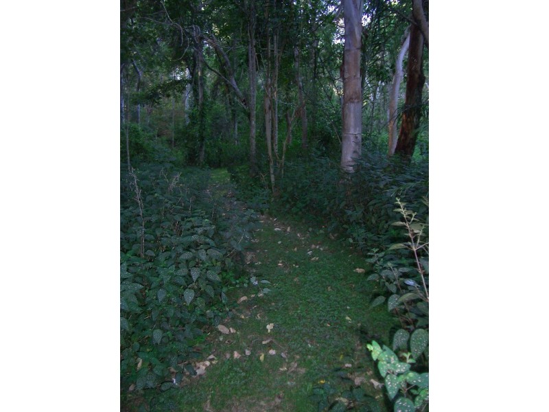 92-110 Oakey Creek Road, Gheerulla QLD 4574