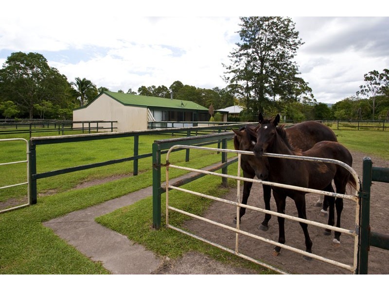 27 Isambert Road, Landsborough QLD 4550