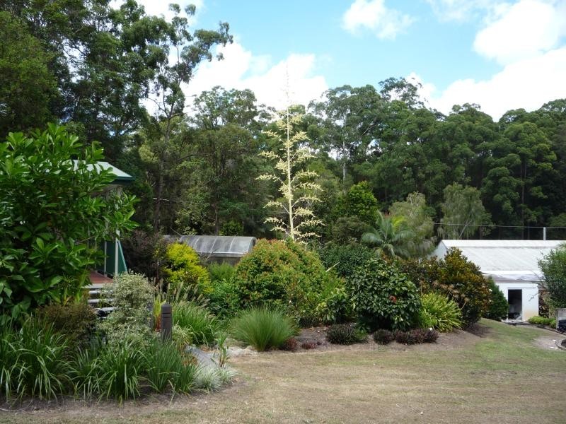 61 Tania Avenue, Palmwoods QLD 4555