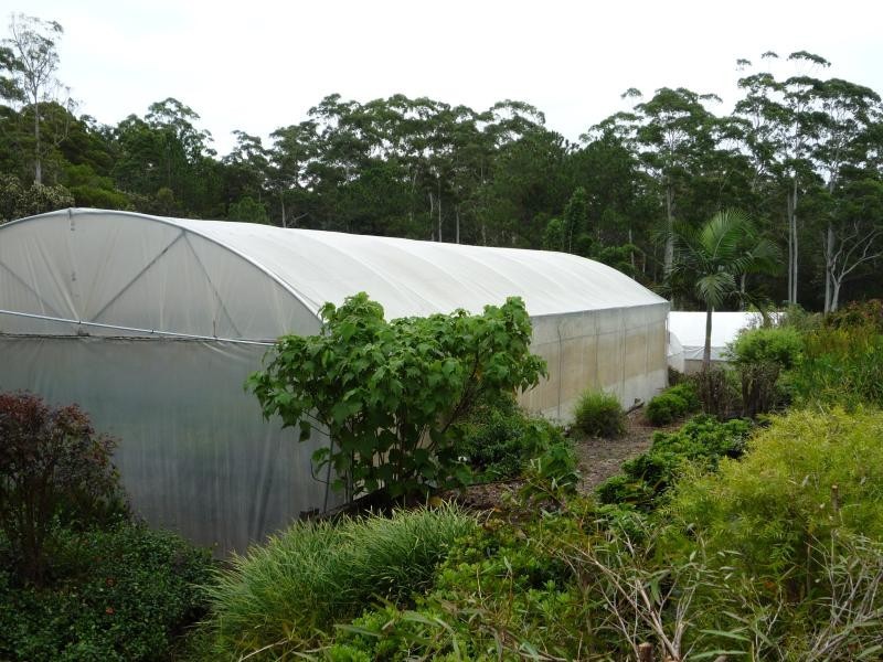 61 Tania Avenue, Palmwoods QLD 4555