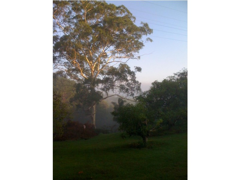 64 Mill Hill Road, Montville QLD 4560