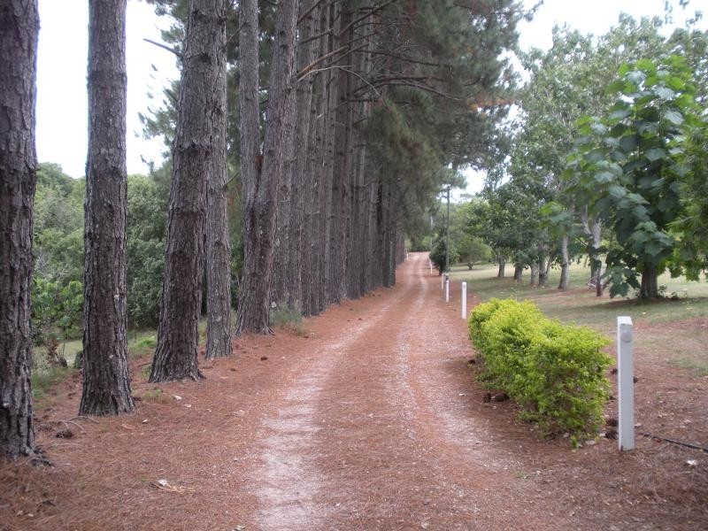 64 Mill Hill Road, Montville QLD 4560