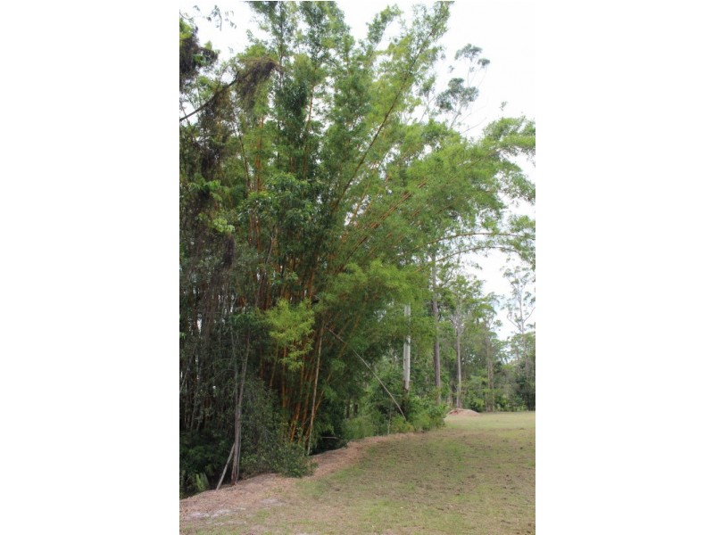 55 Palmwoods School Road, Palmwoods QLD 4555