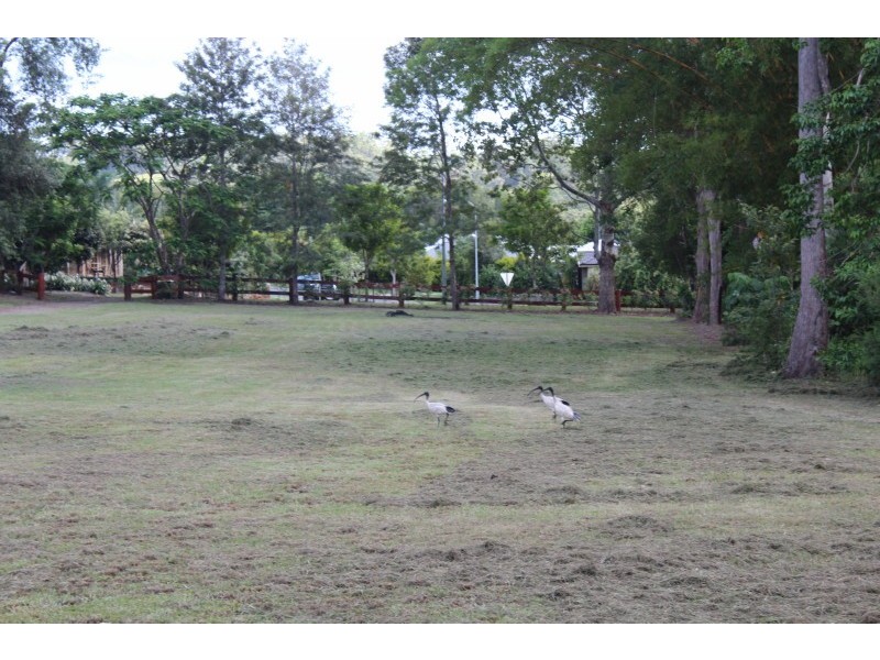 55 Palmwoods School Road, Palmwoods QLD 4555