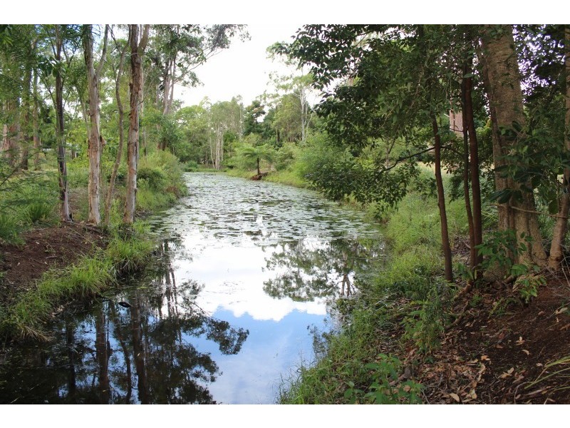 55 Palmwoods School Road, Palmwoods QLD 4555