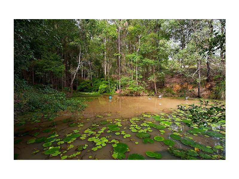 26 Cardinal Court, Palmwoods QLD 4555
