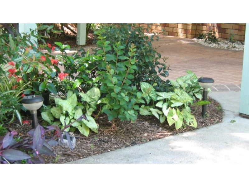 32 Anzac Road, Eudlo QLD 4554