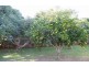 72 Main Street, Palmwoods QLD 4555