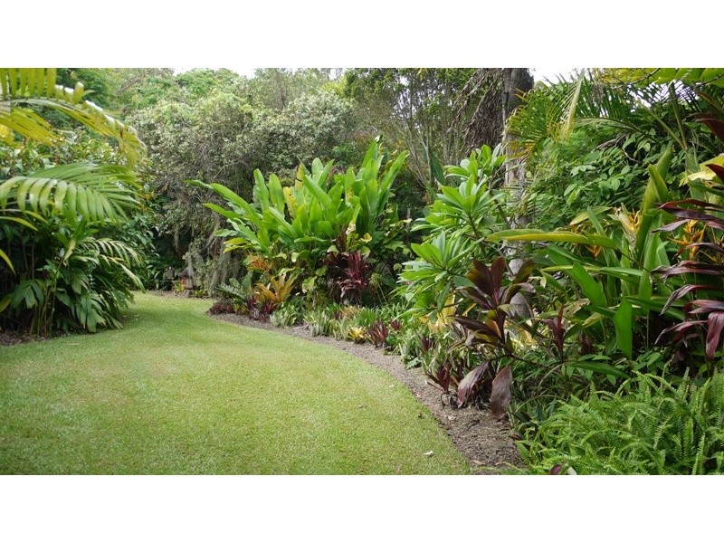 98 Macdonald Road, Palmwoods QLD 4555