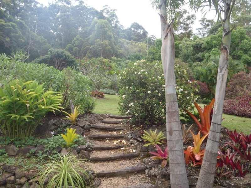 98 Macdonald Road, Palmwoods QLD 4555