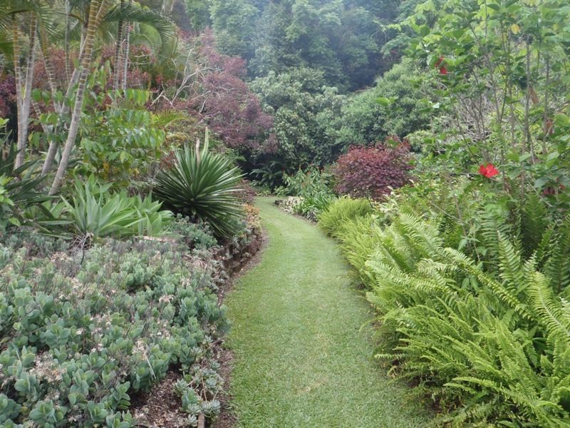 98 Macdonald Road, Palmwoods QLD 4555