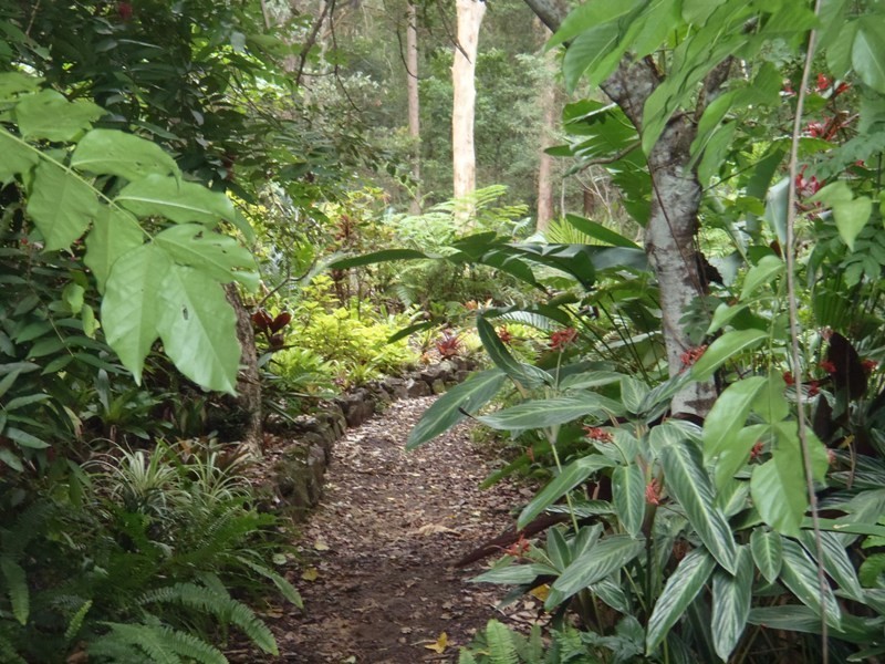 98 Macdonald Road, Palmwoods QLD 4555