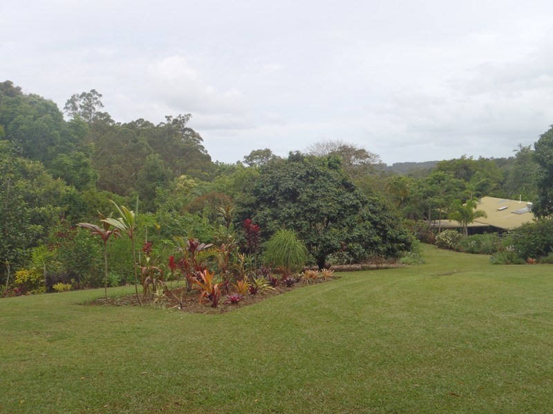 98 Macdonald Road, Palmwoods QLD 4555