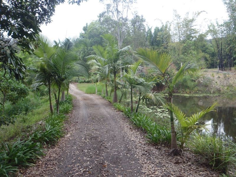 98 Macdonald Road, Palmwoods QLD 4555