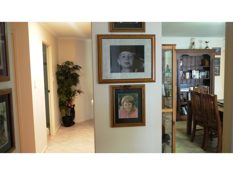 11 Corey Court, Palmwoods QLD 4555