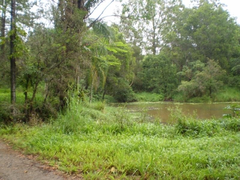 310 Highlands Road, Eudlo QLD 4554