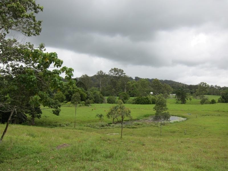 46B Country Road, Palmwoods QLD 4555