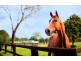 72 Willandra Place, Kureelpa QLD 4560