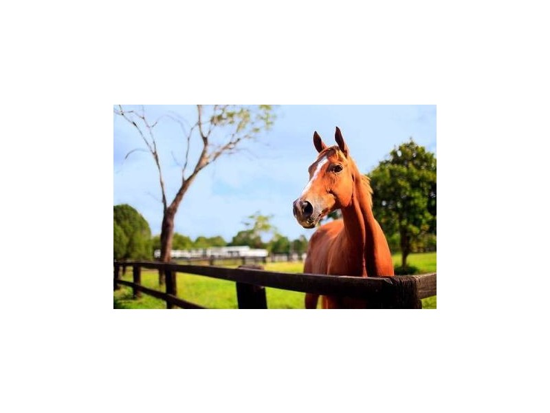 72 Willandra Place, Kureelpa QLD 4560