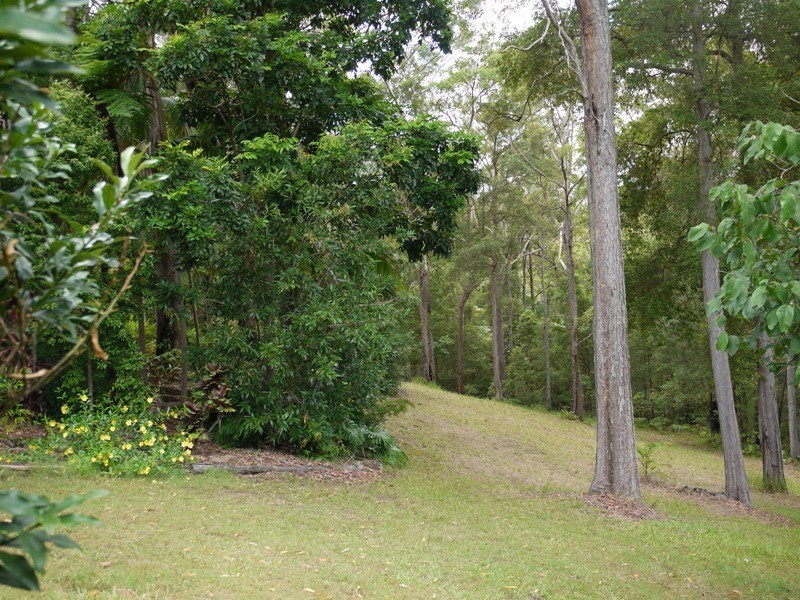 21 Wilson Road, Ilkley QLD 4554