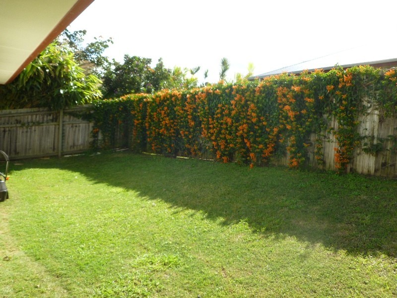 12 Paynters Pocket Avenue, Palmwoods QLD 4555