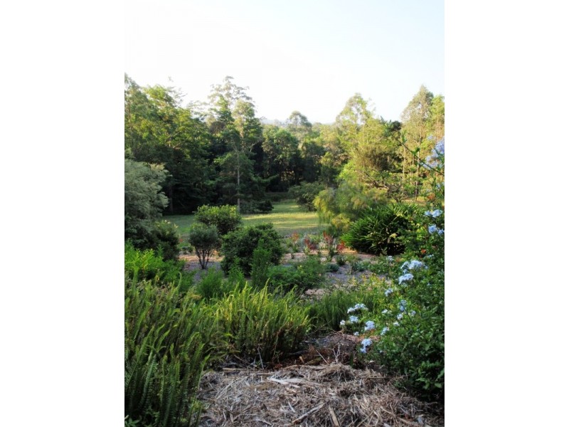 1-31 Abbotts Road, Palmwoods QLD 4555