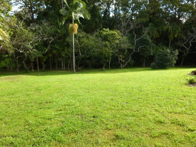 50-60 Chevallum Road, Palmwoods QLD 4555