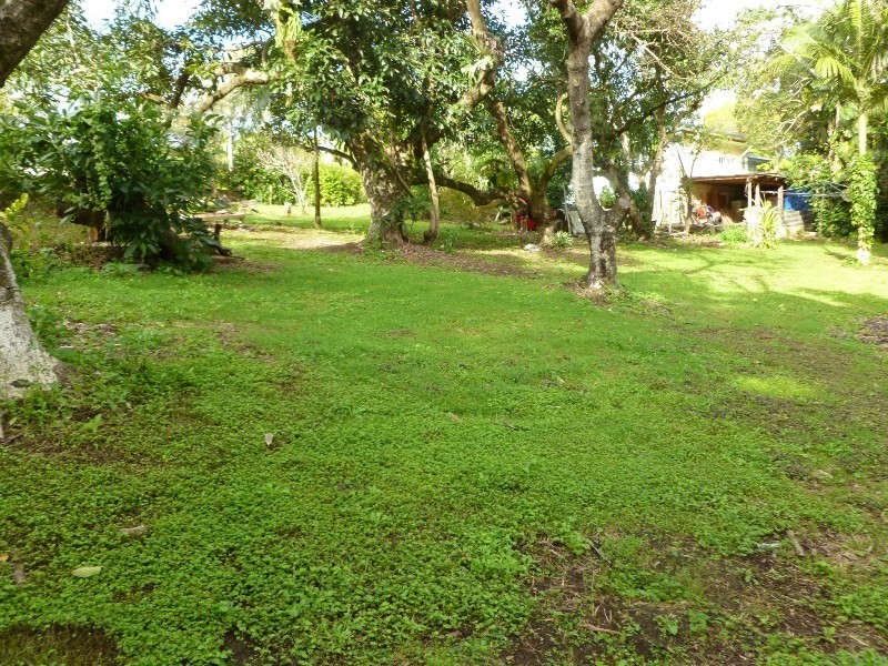 50-60 Chevallum Road, Palmwoods QLD 4555